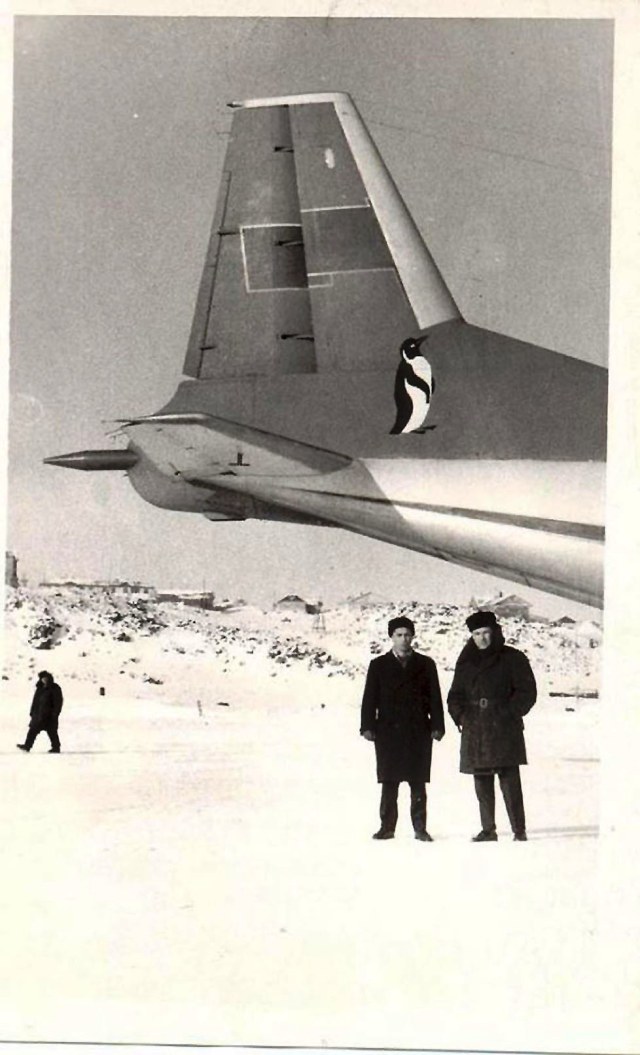 Ан-12 с пингвином.jpg